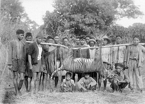 Kecamatan Malingping, Kabupaten Lebak