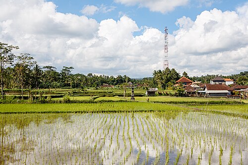 Kabupaten Gianyar, Bali