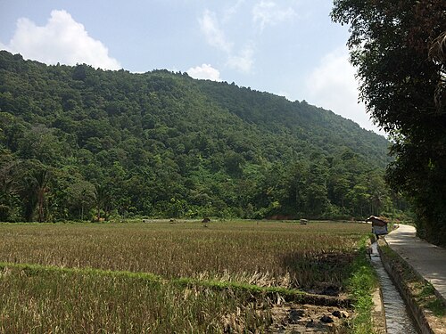 Kabupaten Aceh Selatan, Aceh