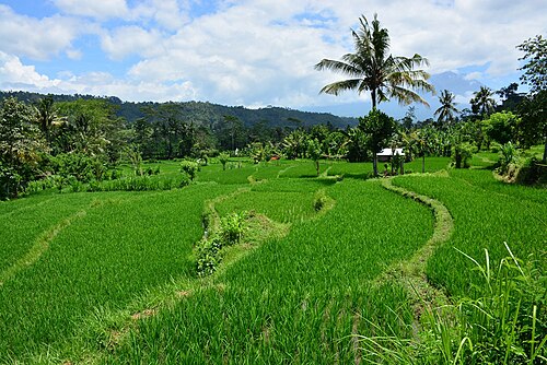 Kecamatan Sidemen, Kabupaten Karangasem