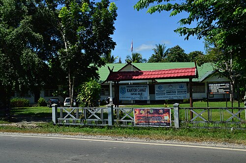 Kecamatan Kapuas Hilir, Kabupaten Kapuas