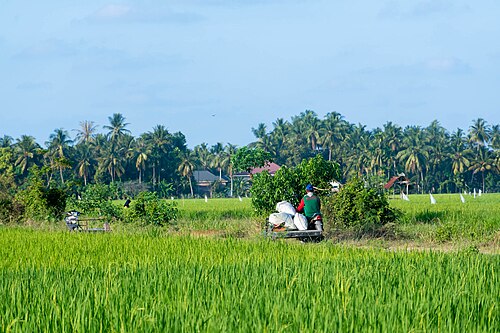Kabupaten Bireuen, Aceh