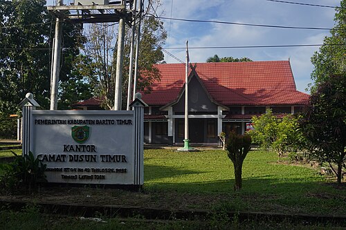 Kecamatan Dusun Timur, Kabupaten Barito Timur