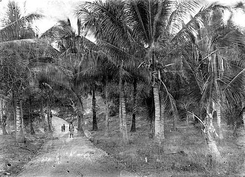 Kabupaten Rote Ndao, Nusa Tenggara Timur