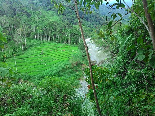 Kabupaten Pidie, Aceh