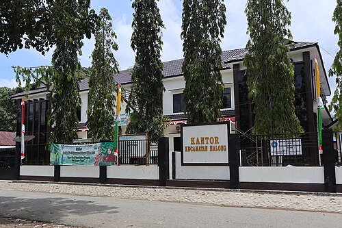 Kecamatan Halong, Kabupaten Balangan