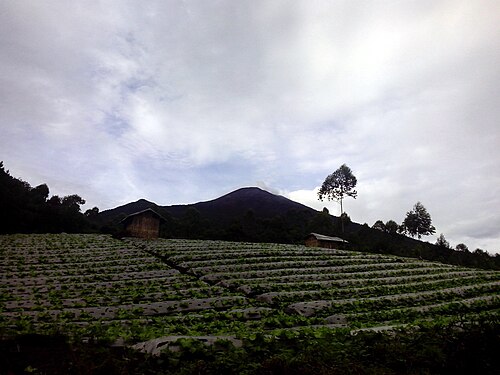 Kabupaten Pemalang, Jawa Tengah