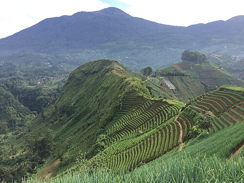 Kabupaten Majalengka, Jawa Barat