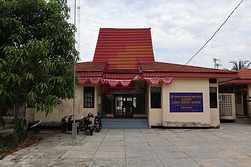 Kecamatan Rantau Badauh, Kabupaten Barito Kuala