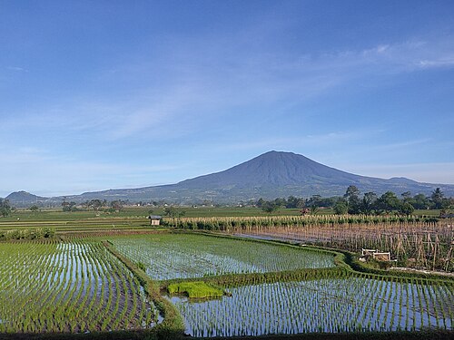 Kecamatan Cilaku, Kabupaten Cianjur