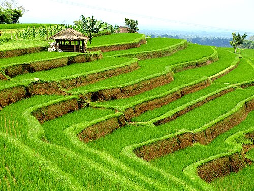 Kecamatan Payangan, Kabupaten Gianyar