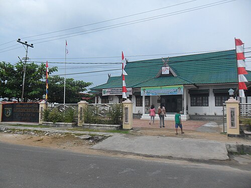 Kecamatan Dusun Selatan, Kabupaten Barito Selatan