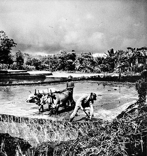 Kecamatan Kawangkoan, Kabupaten Minahasa