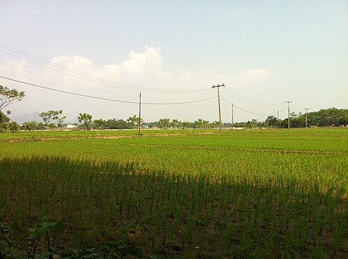 Kecamatan Cariu, Kabupaten Bogor