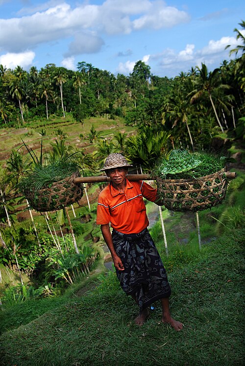 Kecamatan Tegallalang, Kabupaten Gianyar