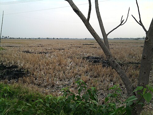 Kecamatan Pontang, Kabupaten Serang
