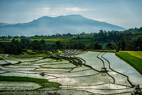 Kabupaten Tanah Datar, Sumatera Barat