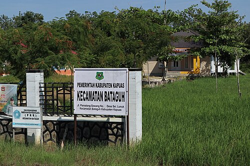 Kecamatan Bataguh, Kabupaten Kapuas