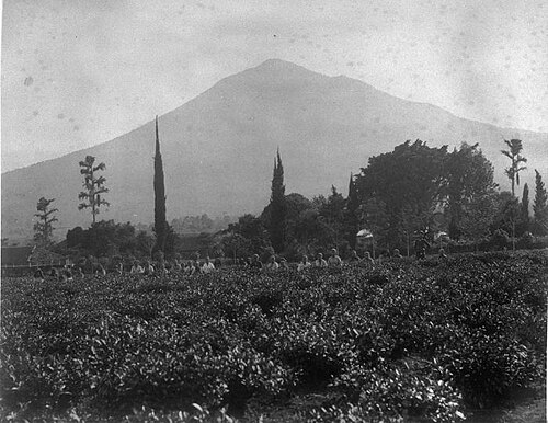 Kecamatan Cikajang, Kabupaten Garut