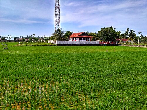 Kota Lhokseumawe, Aceh