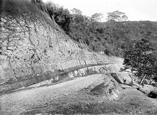 Kecamatan Cibinong, Kabupaten Bogor