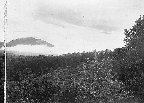 Kecamatan Cikidang, Kabupaten Sukabumi